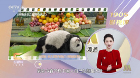 久久天堂色
